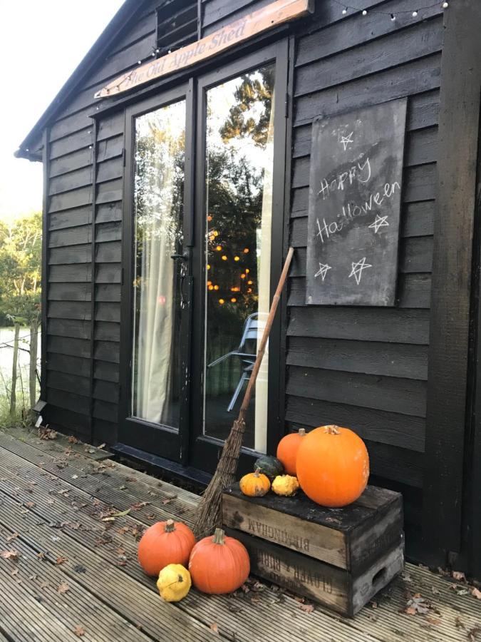 The Old Apple Shed Cosy Heated Cottage In A Meadow Close To The Charming Village Of Bethersden آشفورد المظهر الخارجي الصورة