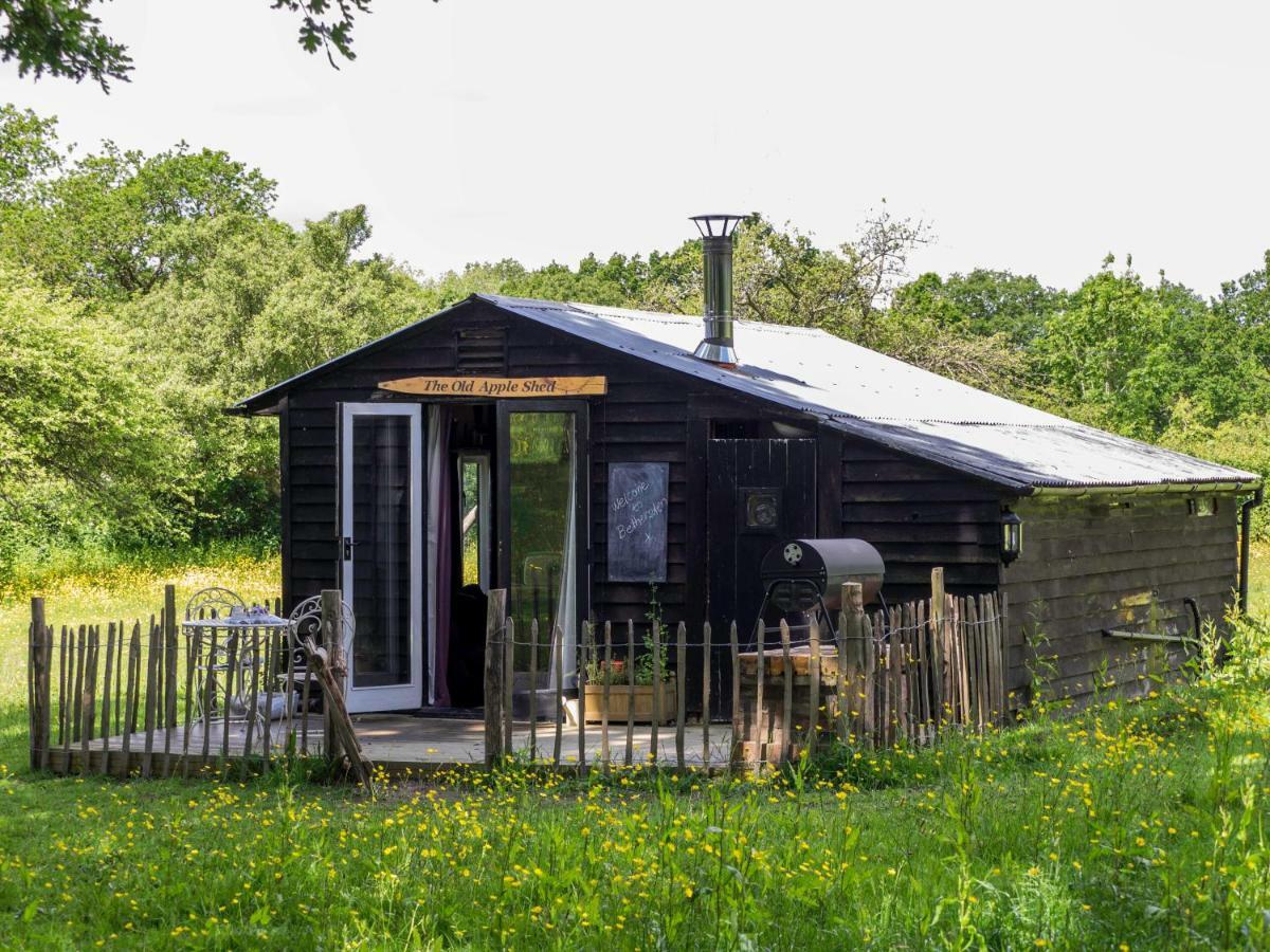 The Old Apple Shed Cosy Heated Cottage In A Meadow Close To The Charming Village Of Bethersden آشفورد المظهر الخارجي الصورة